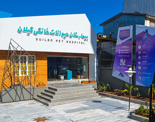 بیمارستان دامپزشکی گیلان