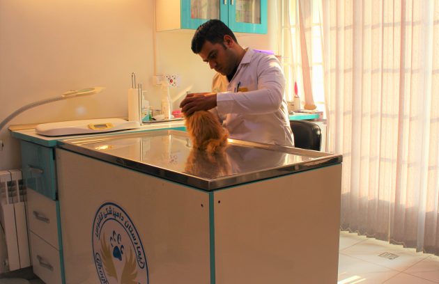 بخش داخلی بیمارستان حیوانات خانگی ققنوس