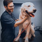 دکتر بنیامین شیخ