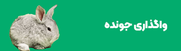 آگهی واگذاری جوندگان