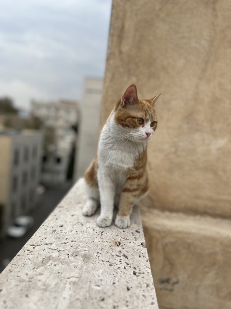 نیاز به سرپرست