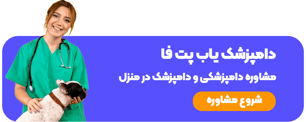 دامپزشک یاب پت فا مشاوره دامپزشکی و دامپزشک در منزل