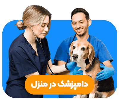 ویزیت در محل دامپزشکی و دامپزشک در منزل پت فا