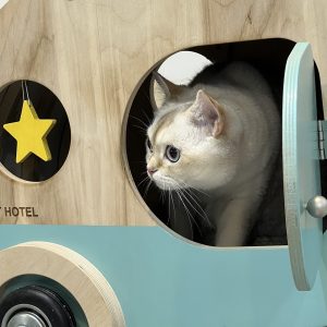 پانسیون تخصصی گربه اُروس