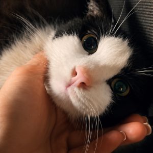آقا باربی مهربون دو ساله