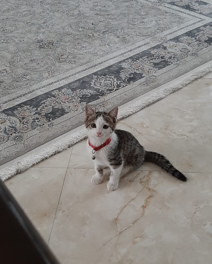 واگذارب به سرپرست مسئول و مهربان